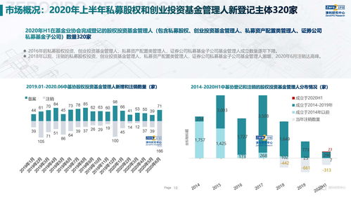 2020上半年中國股權(quán)投資市場回顧與展望 融資咨詢服務(wù)的新變局與新機(jī)遇